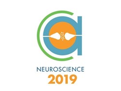 Editorial Article: Neuroscience 2019: 6 exhibition highlights to look out for