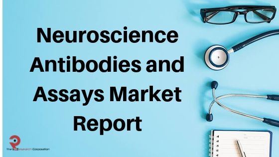Comprehensive Growth for Neuroscience Antibodies and Assays Market 2019 | Latest Trends, Demand, Growth, Opportunities & Outlook Till 2025 | Top Key Players: Thermo Fisher, Abcam, Bio-Rad, Merck, Cell Signaling Technology
