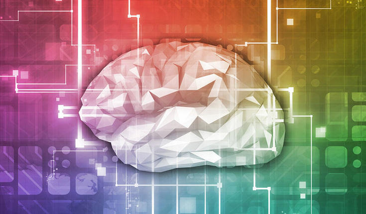 Helsinki Brain & Mind, a new neuroscience hub, awarded ERDF funding