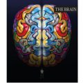 The search for secrets of the human brain