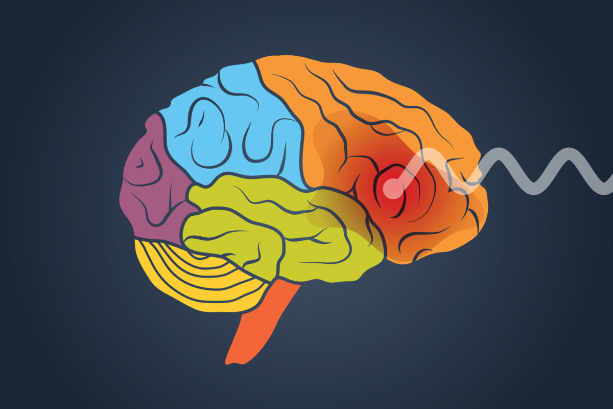 Researchers investigate why certain brains are more vulnerable to addiction