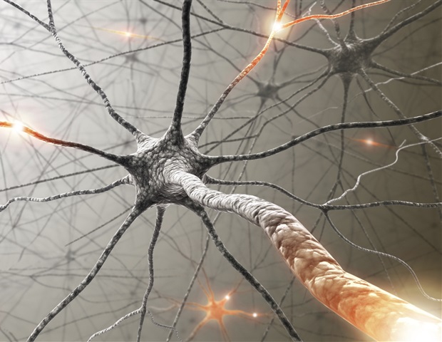 A molecular switch for repairing damage in central nervous system disorders discovered