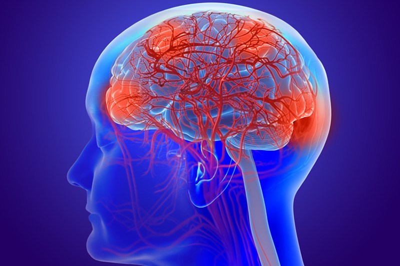 Drugs that quell brain inflammation reverse dementia