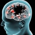 Study identifies pathway responsible for blood-brain barrier impairment in Alzheimer’s