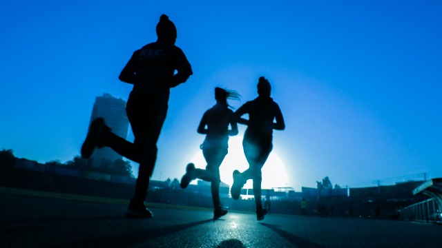 Endocannabinoid Signaling ACts To Boost Memory After Exercise