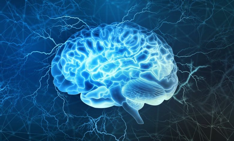 Neuroscience Market Size, Share, 2020 Emerging-Trends, Services, Applications, Technological-Advancements, Scope, Growth-Analysis, Key-Players, Business-Opportunities and Forecast-2025