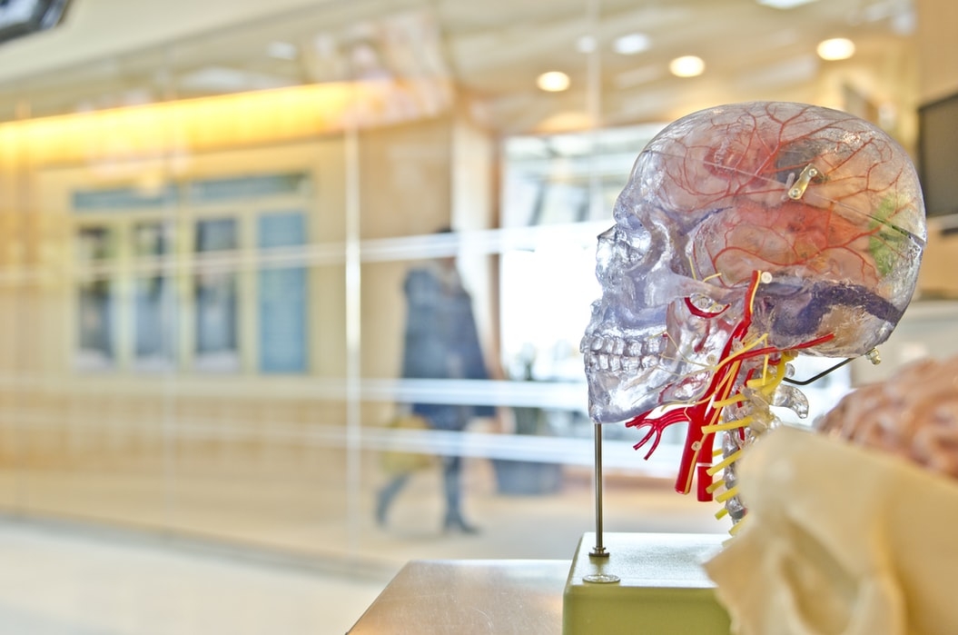 Santa Casa Neuroscience awards research on Parkinson’s and spinal cord