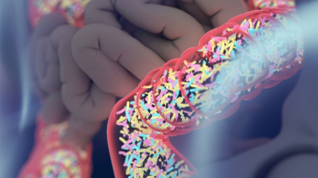 Gut Microbiome Changes Linked to Alzheimer’s-Like Behavior