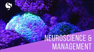 Neuroscience Market Development And Trends, CAPEX Cycle, Innovations, And The Dynamic Structure Forecast 2021-2027
