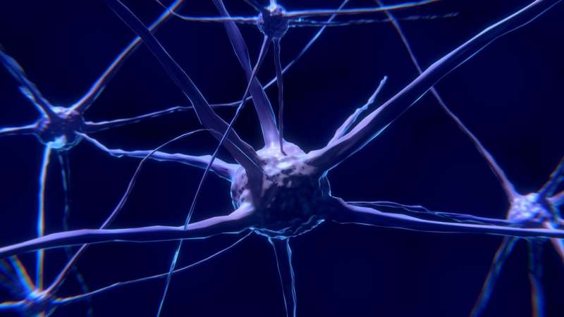 Seizures and memory problems in epilepsy may have a common cause