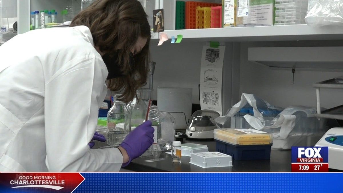 Women in Science Day: UVA scientists researching Alzheimer’s Disease