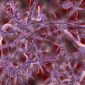 Stem Cell Gene Therapy Shows Promise in ALS Trial