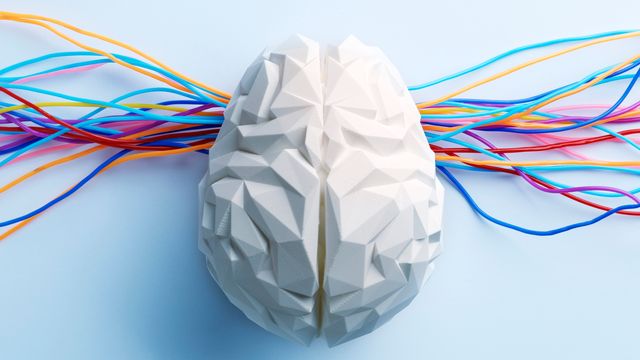 The Top 10 Neuroscience Stories of 2022