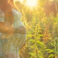 Cannabis in Pregnancy Linked to Autism and ADHD Risk