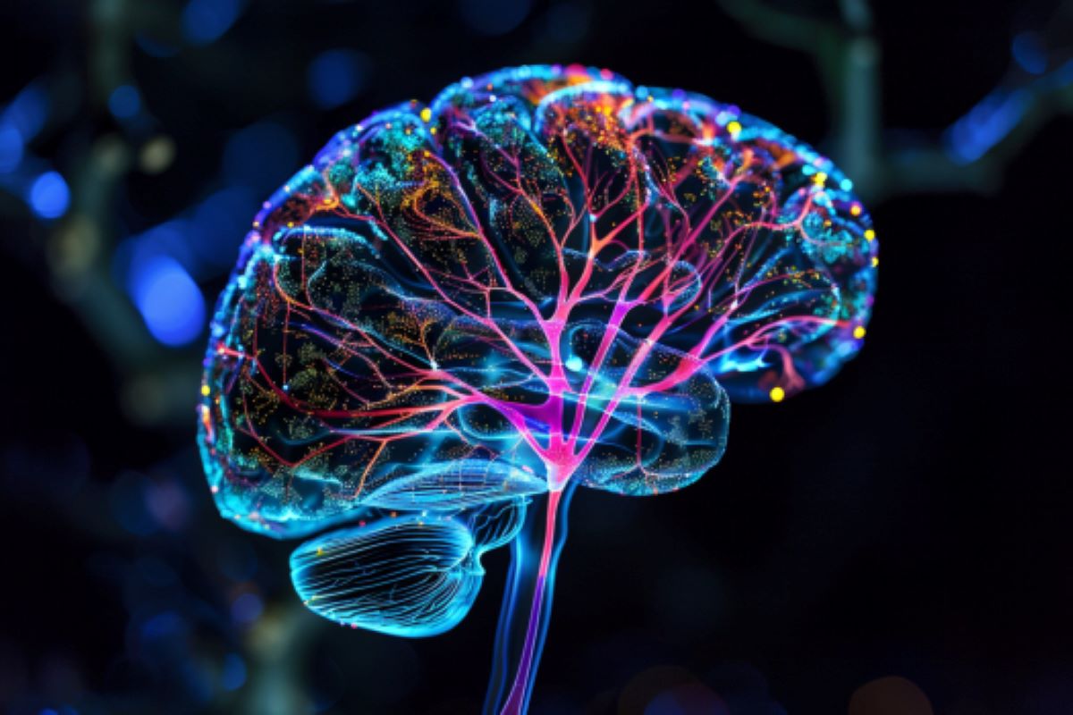 Brain Veins as Light Detectors: A New Path to Deep Brain Imaging
