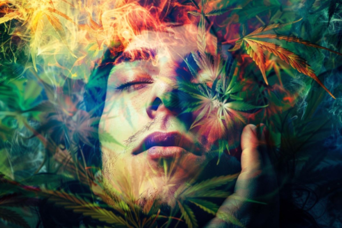 High-Potency Cannabis Linked to Youth Psychosis